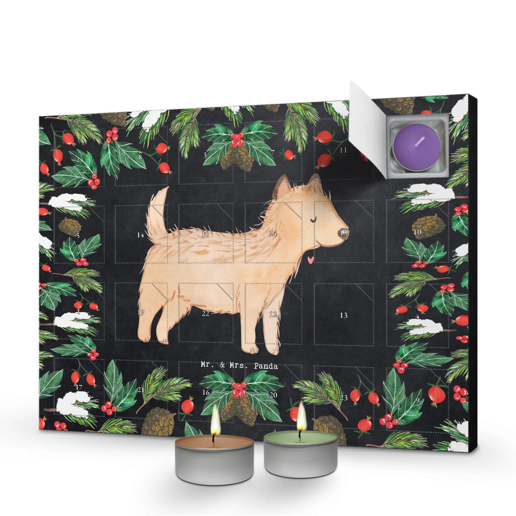 Adventskalender Cairn Terrier Moment Weihnachtskalender, weihnachts adventskalender, duft adventskalender, aroma adventskalender, advent kalender, duftkerzenkalender, adventskalender mit kerzen, kerzenkalender, Adventskalender, adventskalender duftkerzen, adventskalender kerzen, raumduft adventskalender, adventskerzen kalender, Kerzen Adventskalender, adventskalender mit duftkerzen, duft kalender, Duftkerzen Adventskalender, Geschenk, Schenken, Hunderasse, Rassehund, Hundebesitzer, Tierfreund, Welpe, Hund, Cairn Terrier