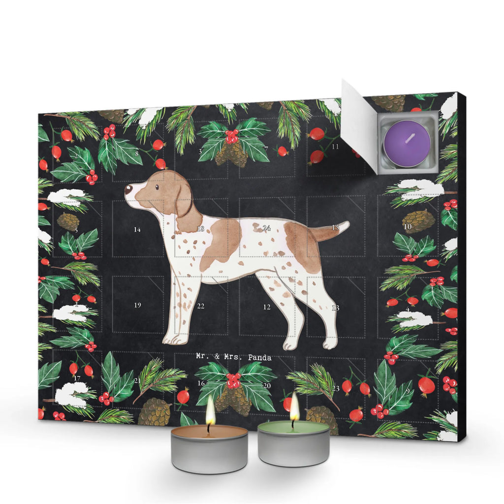  Pointer Chwila dawanie, prezent, Pies, rasa psa, pies rasowy, właściciel psa, miłośnik zwierząt, szczeniak