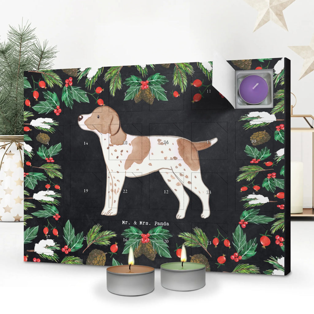  Pointer Chwila dawanie, prezent, Pies, rasa psa, pies rasowy, właściciel psa, miłośnik zwierząt, szczeniak