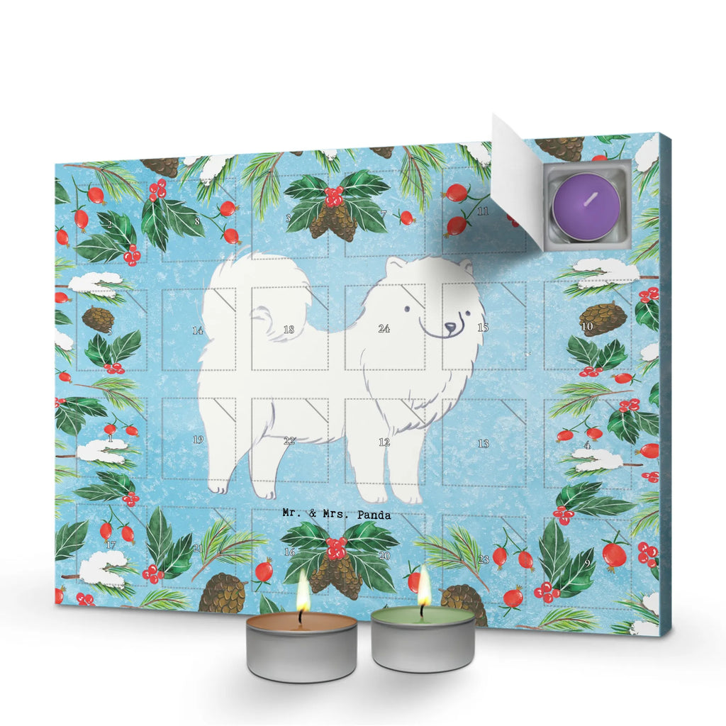  samojed Chwila dawanie, prezent, Pies, rasa psa, pies rasowy, właściciel psa, miłośnik zwierząt, szczeniak