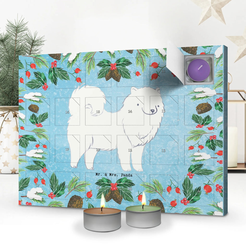  samojed Chwila dawanie, prezent, Pies, rasa psa, pies rasowy, właściciel psa, miłośnik zwierząt, szczeniak