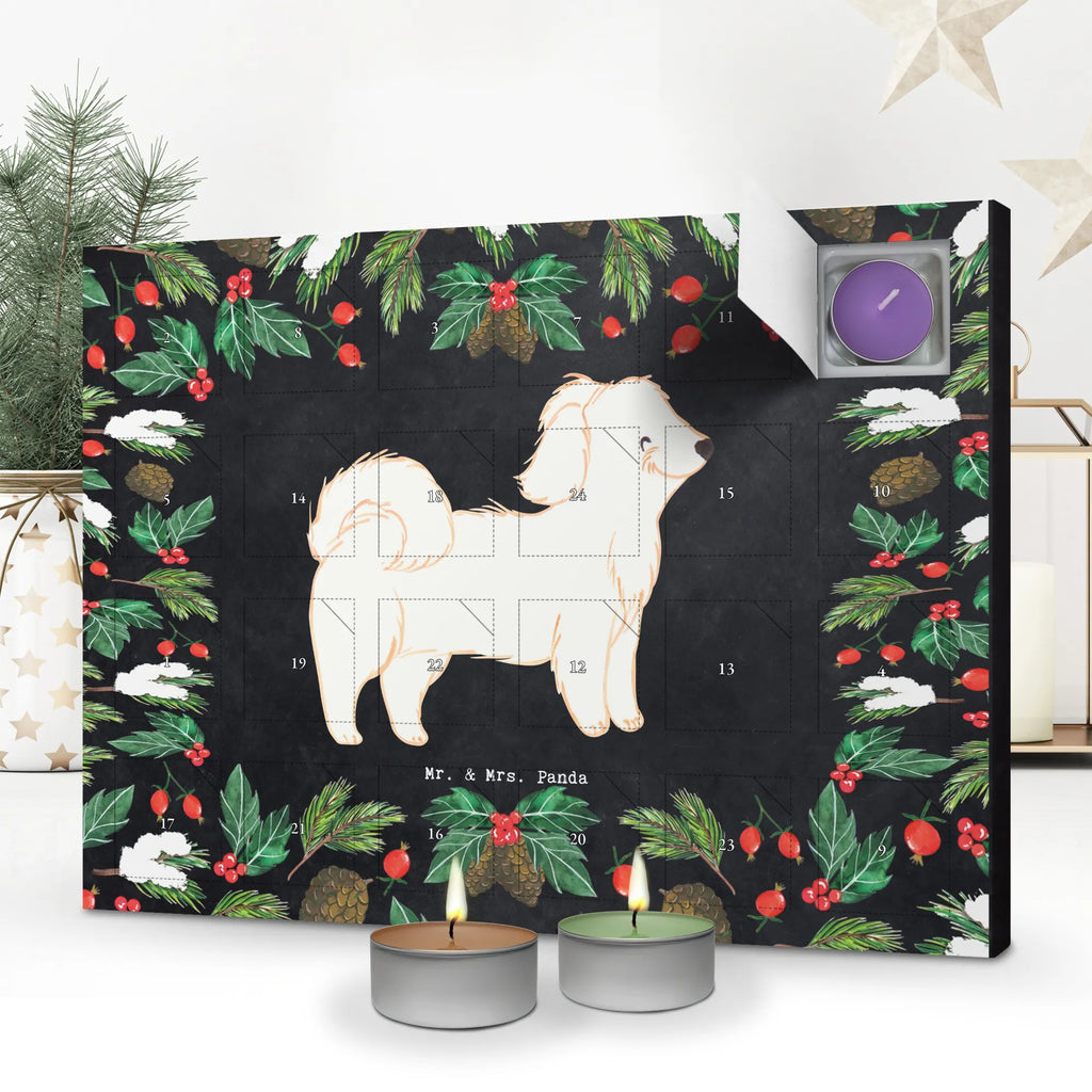 Scented candle advent calendar Havanese Moment gift, animal lover, giving, dog breed, purebred dog, dog owner, puppy