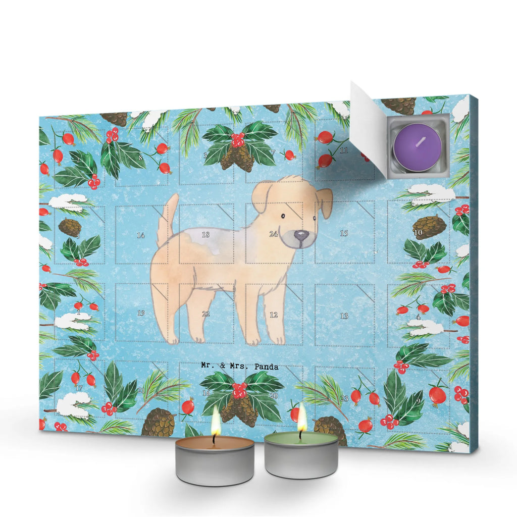  Border Terrier chwila duftkerzenkalender, Kerzen Adventskalender, Weihnachtskalender, duft adventskalender, adventskalender mit kerzen, weihnachts adventskalender, adventskalender kerzen, raumduft adventskalender, aroma adventskalender, Duftkerzen Adventskalender, adventskalender duftkerzen, Adventskalender, duft kalender, adventskalender mit duftkerzen, kerzenkalender, advent kalender, adventskerzen kalender, Hund, Geschenk, Schenken, Hunderasse, Rassehund, Hundebesitzer, Tierfreund, Welpe, Border Terrier