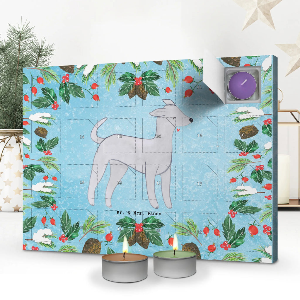 Scented candle advent calendar Italian Greyhound Moment gift, animal lover, giving, dog breed, purebred dog, dog owner, puppy
