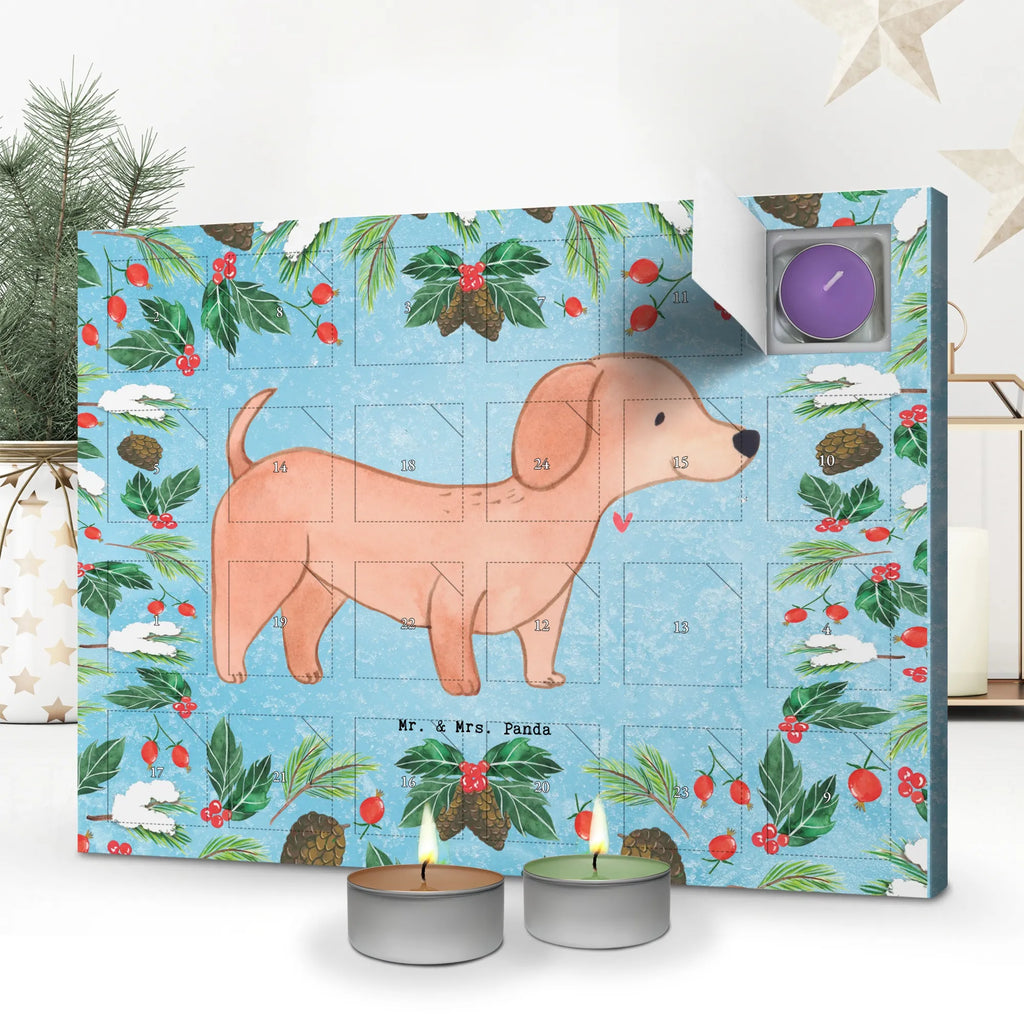  Jamnik krótkowłosy Chwila dawanie, prezent, Pies, rasa psa, pies rasowy, właściciel psa, miłośnik zwierząt, szczeniak