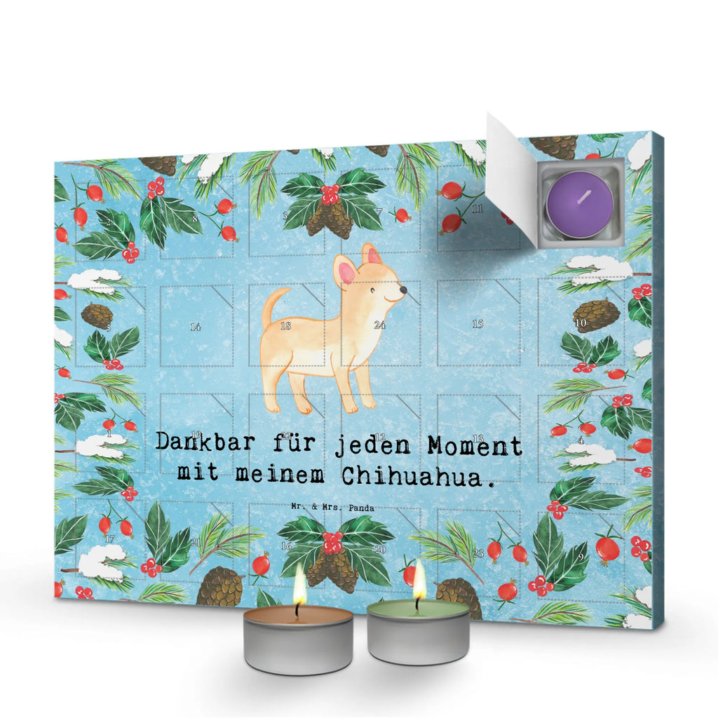 Chocolate advent calendar Chihuahua moment puppy, dog owner, purebred dog, dog breed, giving, animal lover, gift