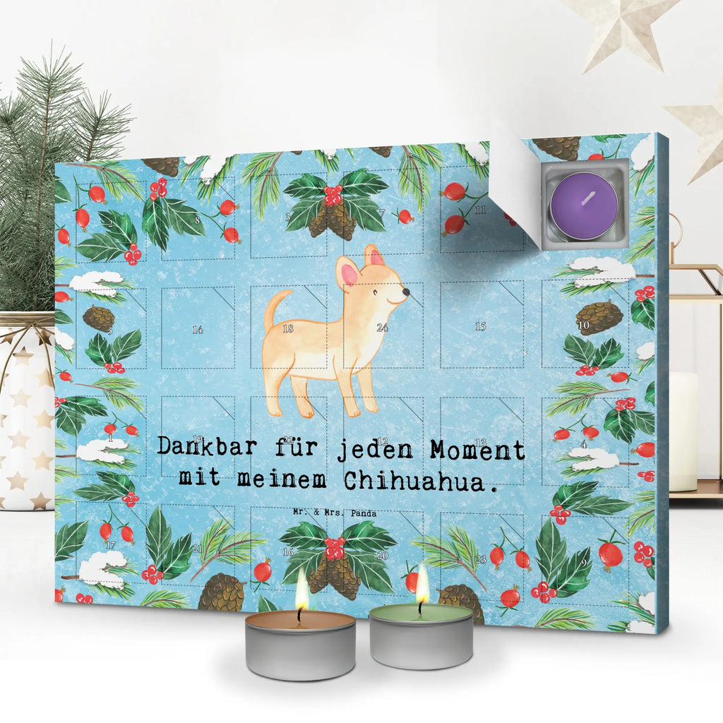Chocolate advent calendar Chihuahua moment puppy, dog owner, purebred dog, dog breed, giving, animal lover, gift