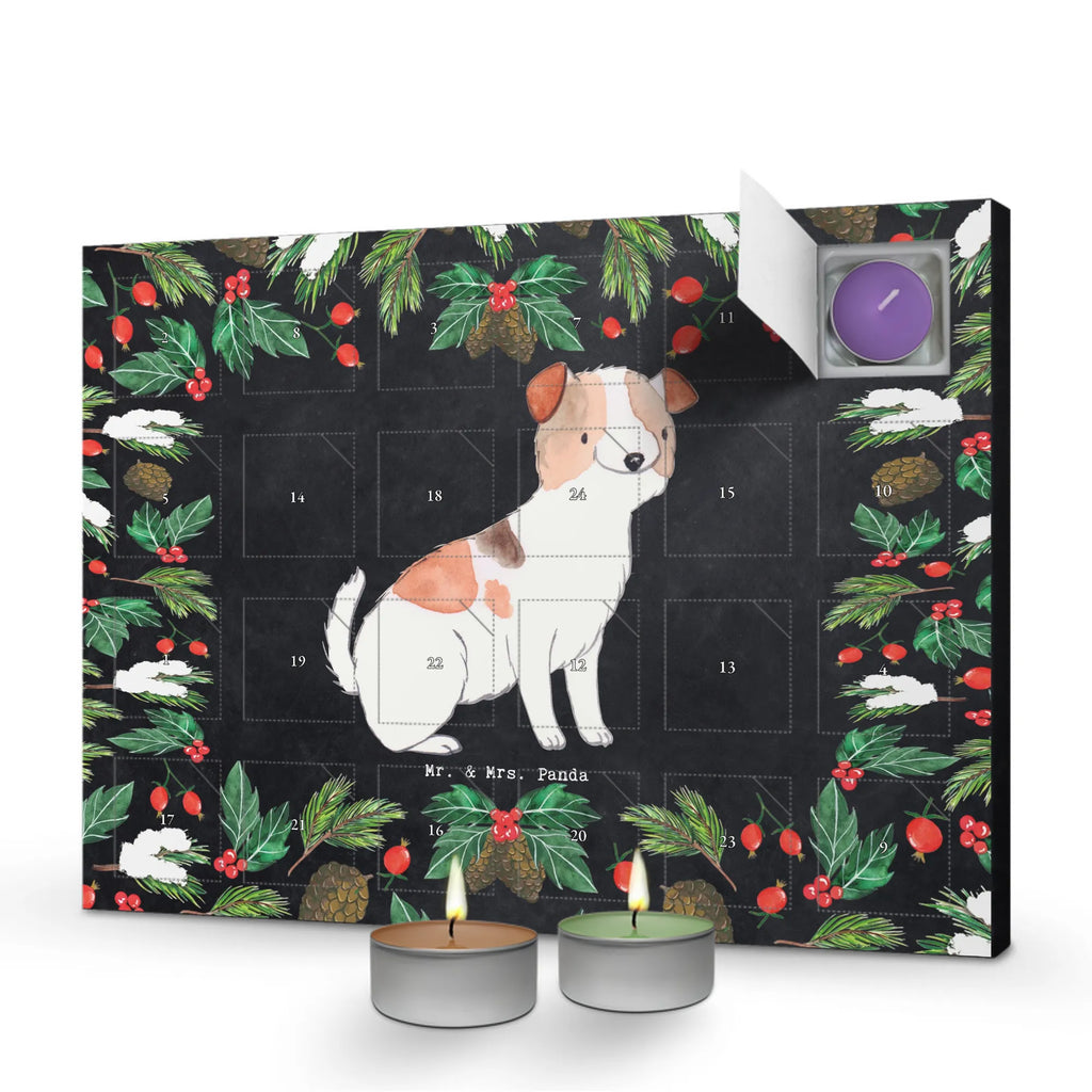Adventskalender Jack Russell Terrier Moment Duftkerzen Adventskalender, adventskalender mit kerzen, Kerzen Adventskalender, aroma adventskalender, Weihnachtskalender, kerzenkalender, Adventskalender, duft kalender, adventskalender kerzen, adventskerzen kalender, duft adventskalender, raumduft adventskalender, duftkerzenkalender, advent kalender, adventskalender duftkerzen, weihnachts adventskalender, adventskalender mit duftkerzen, Schenken, Hunderasse, Rassehund, Hundebesitzer, Tierfreund, Welpe, Geschenk, Hund, Jack Russell Terrier