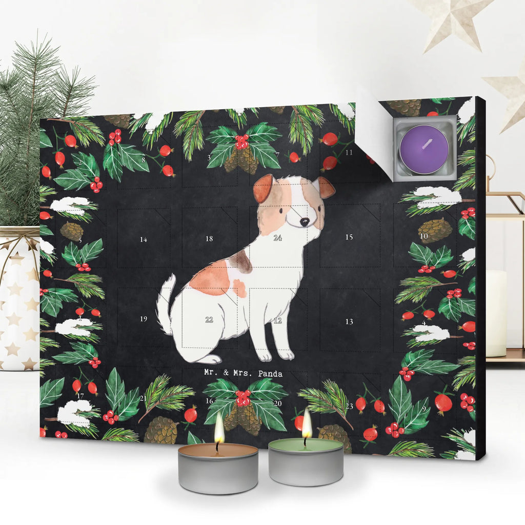 Adventskalender Jack Russell Terrier Moment Duftkerzen Adventskalender, adventskalender mit kerzen, Kerzen Adventskalender, aroma adventskalender, Weihnachtskalender, kerzenkalender, Adventskalender, duft kalender, adventskalender kerzen, adventskerzen kalender, duft adventskalender, raumduft adventskalender, duftkerzenkalender, advent kalender, adventskalender duftkerzen, weihnachts adventskalender, adventskalender mit duftkerzen, Schenken, Hunderasse, Rassehund, Hundebesitzer, Tierfreund, Welpe, Geschenk, Hund, Jack Russell Terrier