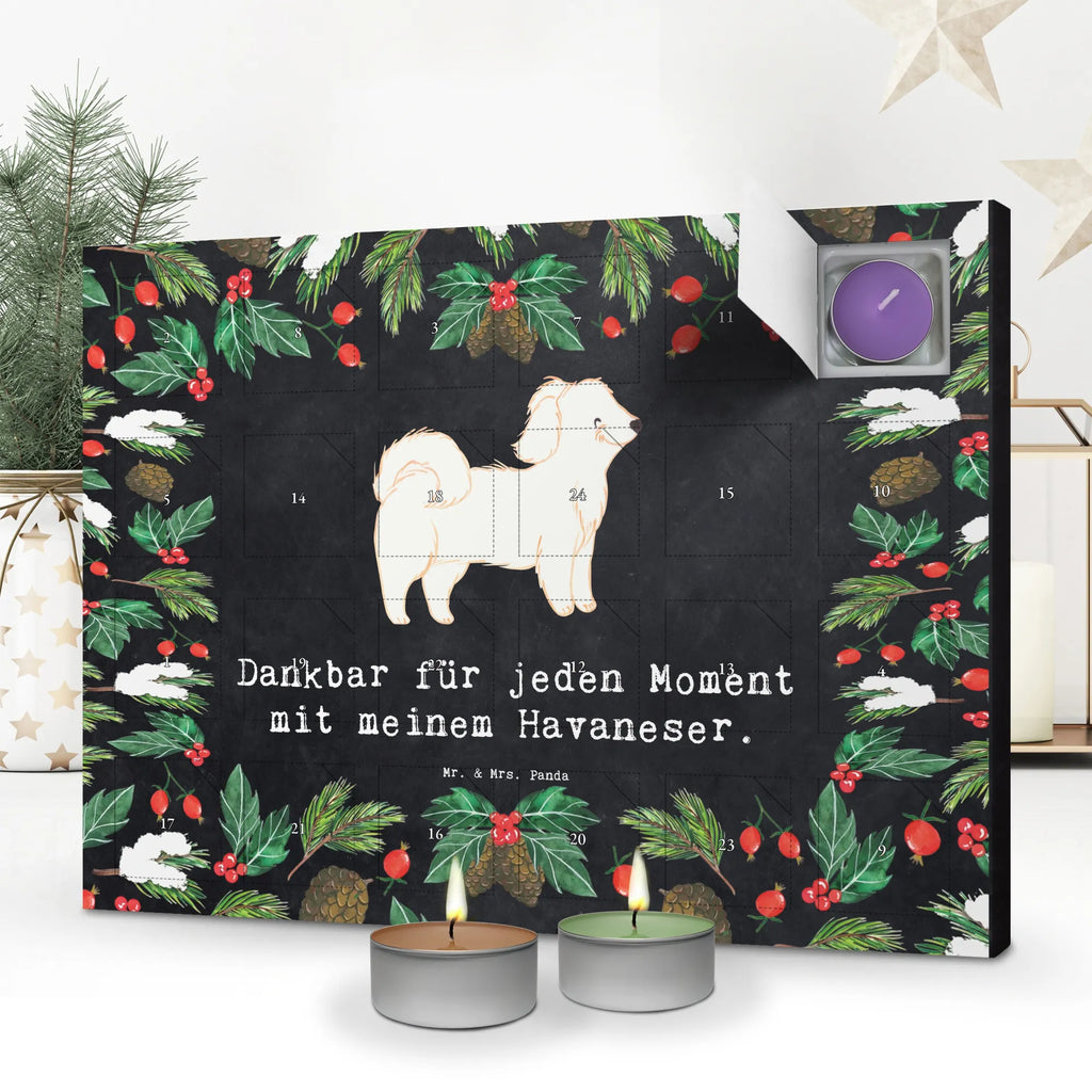 Scented candle advent calendar Havanese Moment gift, animal lover, giving, dog breed, purebred dog, dog owner, puppy