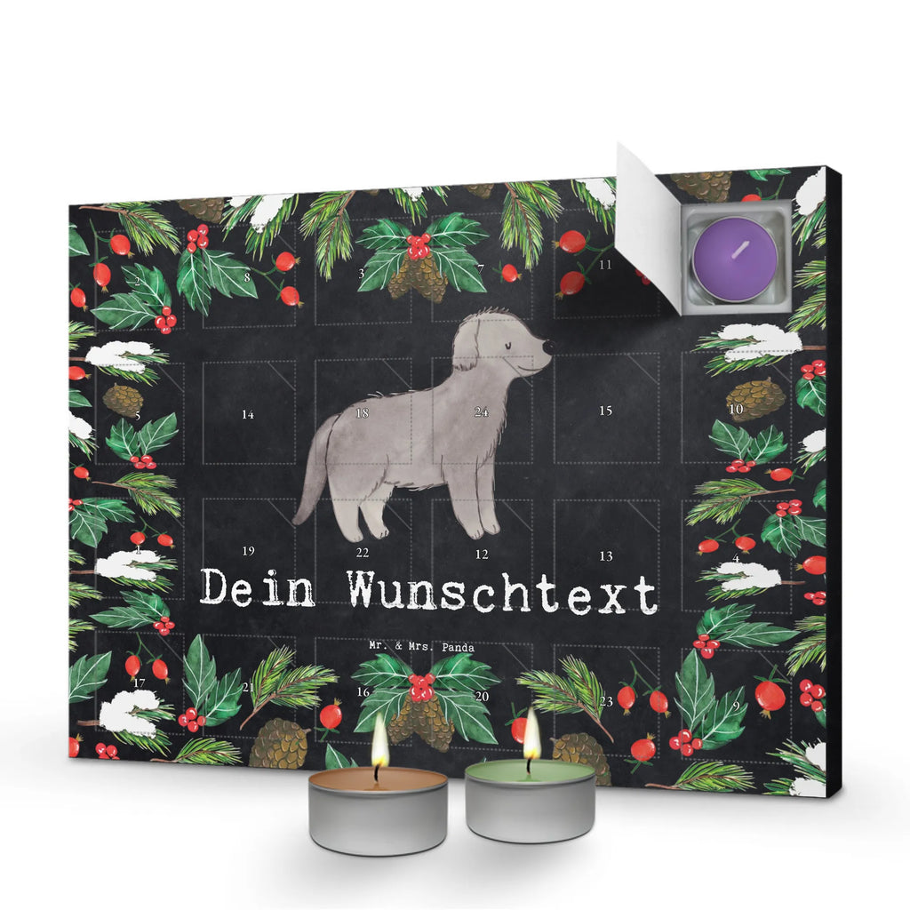  Newfoundland dog Moment gift, animal lover, giving, dog breed, purebred dog, dog owner, puppy