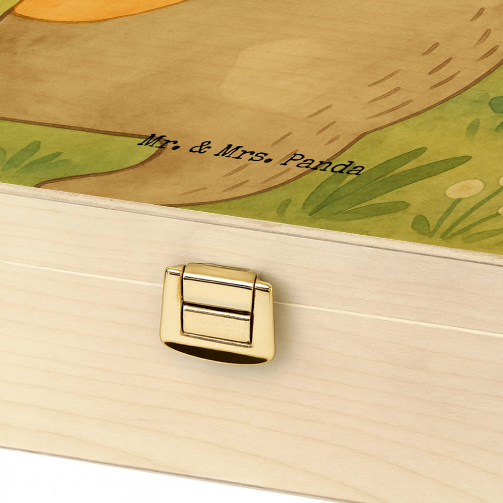  wydra brzuch Design Kuna, wydra, morska wydra