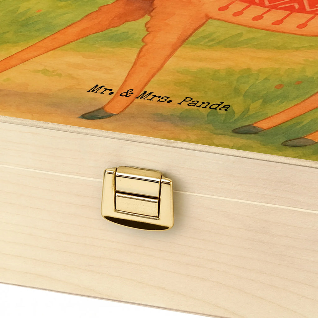  alpaca Proud Design alpaca, animal, llama, pako, camel, Peru, favourite animal