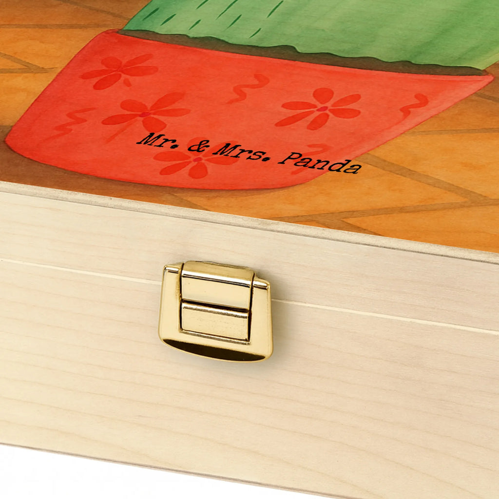  cactus Fury Design cactus, cactuses, plants, cactus plant, small green cactus, school, office life, annoy, colleague, angry