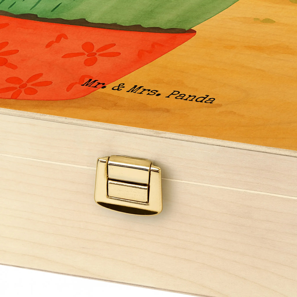  cactus Fury Design cactus, cactuses, plants, cactus plant, small green cactus, school, office life, annoy, colleague, angry