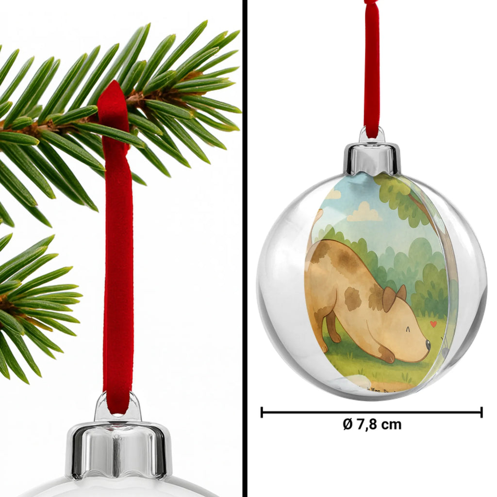 Weihnachtskugel Hund Marienkäfer Design weihnachtsbaumkugeln, christbaum anhänger, baum anhänger, weihnachtskugeln, Weihnachtskugel, weihnachtsbaum anhänger, weihnachtskugel transparent, kunststoffkugel, weihnachtsdeko kugeln, weihnachtskugeln deko, christbaumkugeln, baumkugel, hängekugel, weihnachtskugel deko, Dekokugel, kunststoff weihnachtskugel, weihnachtsanhänger, baumanhänger, kugel weihnachten, baumkugeln, transparente weihnachtskugel, dekohänger, christbaumkugel, weihnachtsbaumkugel, dekokugeln, plastik weihnachtskugel, deko kugel, Sprüche, Hund, Hunderasse, Hundebesitzer, Hundemotiv, Haustier, Tierliebhaber, Mischlinghund, Mischling, Marienkäfer, Hundespruch, Hunde