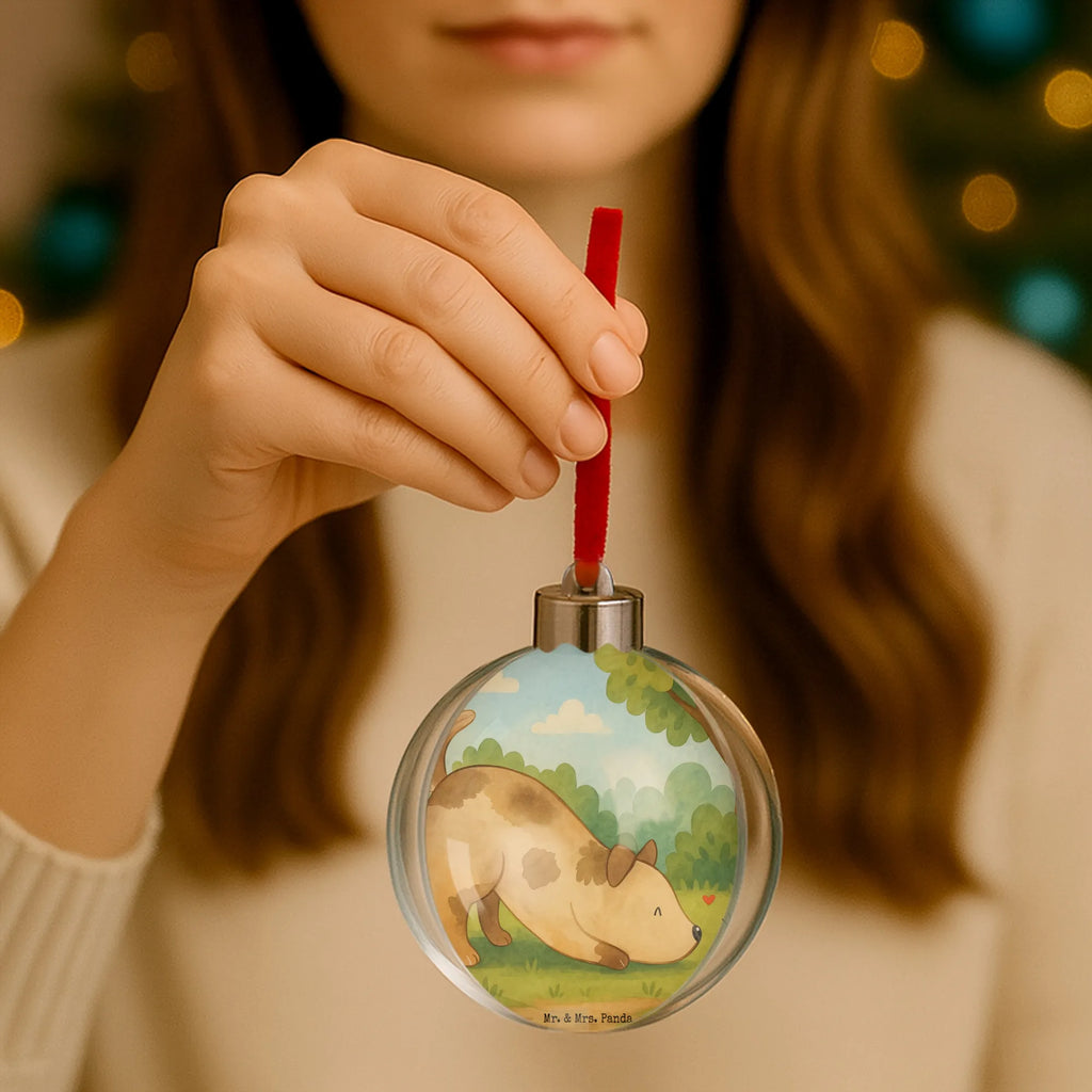 Weihnachtskugel Hund Marienkäfer Design weihnachtsbaumkugeln, christbaum anhänger, baum anhänger, weihnachtskugeln, Weihnachtskugel, weihnachtsbaum anhänger, weihnachtskugel transparent, kunststoffkugel, weihnachtsdeko kugeln, weihnachtskugeln deko, christbaumkugeln, baumkugel, hängekugel, weihnachtskugel deko, Dekokugel, kunststoff weihnachtskugel, weihnachtsanhänger, baumanhänger, kugel weihnachten, baumkugeln, transparente weihnachtskugel, dekohänger, christbaumkugel, weihnachtsbaumkugel, dekokugeln, plastik weihnachtskugel, deko kugel, Sprüche, Hund, Hunderasse, Hundebesitzer, Hundemotiv, Haustier, Tierliebhaber, Mischlinghund, Mischling, Marienkäfer, Hundespruch, Hunde