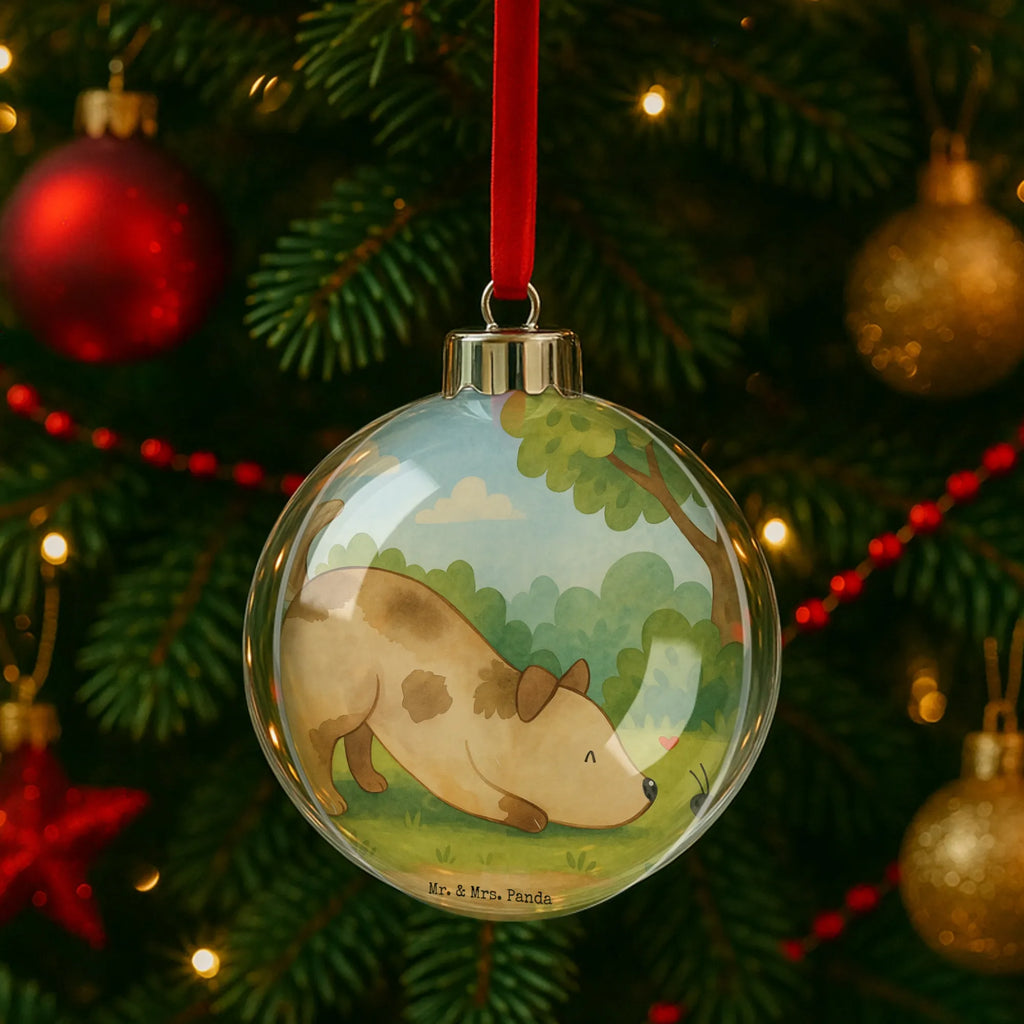 Weihnachtskugel Hund Marienkäfer Design weihnachtsbaumkugeln, christbaum anhänger, baum anhänger, weihnachtskugeln, Weihnachtskugel, weihnachtsbaum anhänger, weihnachtskugel transparent, kunststoffkugel, weihnachtsdeko kugeln, weihnachtskugeln deko, christbaumkugeln, baumkugel, hängekugel, weihnachtskugel deko, Dekokugel, kunststoff weihnachtskugel, weihnachtsanhänger, baumanhänger, kugel weihnachten, baumkugeln, transparente weihnachtskugel, dekohänger, christbaumkugel, weihnachtsbaumkugel, dekokugeln, plastik weihnachtskugel, deko kugel, Sprüche, Hund, Hunderasse, Hundebesitzer, Hundemotiv, Haustier, Tierliebhaber, Mischlinghund, Mischling, Marienkäfer, Hundespruch, Hunde