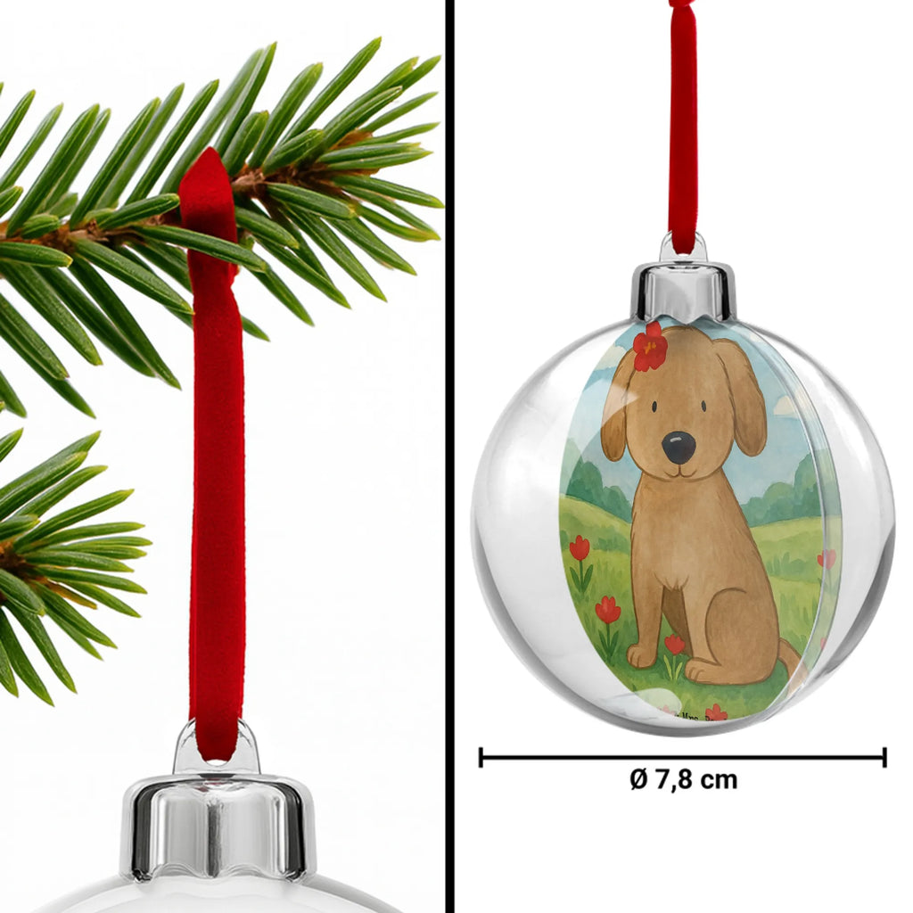  pies Dama Design kugel weihnachten, dekokugeln, weihnachtskugeln, weihnachtsanhänger, baumanhänger, christbaum anhänger, weihnachtsbaumkugel, baumkugeln, christbaumkugeln, deko kugel, weihnachtsbaum anhänger, weihnachtsbaumkugeln, Weihnachtskugel, kunststoff weihnachtskugel, weihnachtskugeln deko, hängekugel, weihnachtsdeko kugeln, weihnachtskugel transparent, Dekokugel, kunststoffkugel, dekohänger, transparente weihnachtskugel, plastik weihnachtskugel, baumkugel, weihnachtskugel deko, baum anhänger, christbaumkugel, Sprüche, Hund, Hunderasse, Hundebesitzer, Hundemotiv, Haustier, Tierliebhaber, Liebe, Frauchen, Hundeglück, Hunde, Hundeliebe