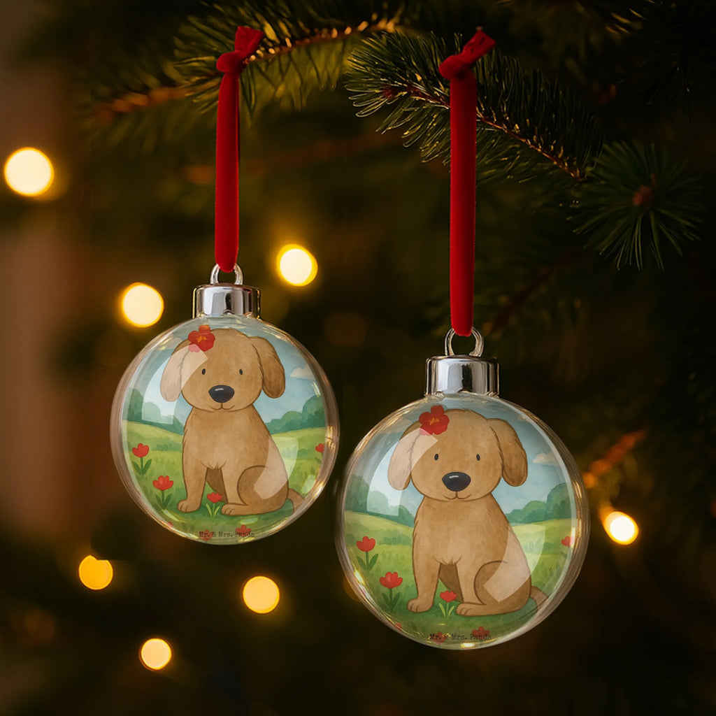  pies Dama Design kugel weihnachten, dekokugeln, weihnachtskugeln, weihnachtsanhänger, baumanhänger, christbaum anhänger, weihnachtsbaumkugel, baumkugeln, christbaumkugeln, deko kugel, weihnachtsbaum anhänger, weihnachtsbaumkugeln, Weihnachtskugel, kunststoff weihnachtskugel, weihnachtskugeln deko, hängekugel, weihnachtsdeko kugeln, weihnachtskugel transparent, Dekokugel, kunststoffkugel, dekohänger, transparente weihnachtskugel, plastik weihnachtskugel, baumkugel, weihnachtskugel deko, baum anhänger, christbaumkugel, Sprüche, Hund, Hunderasse, Hundebesitzer, Hundemotiv, Haustier, Tierliebhaber, Liebe, Frauchen, Hundeglück, Hunde, Hundeliebe
