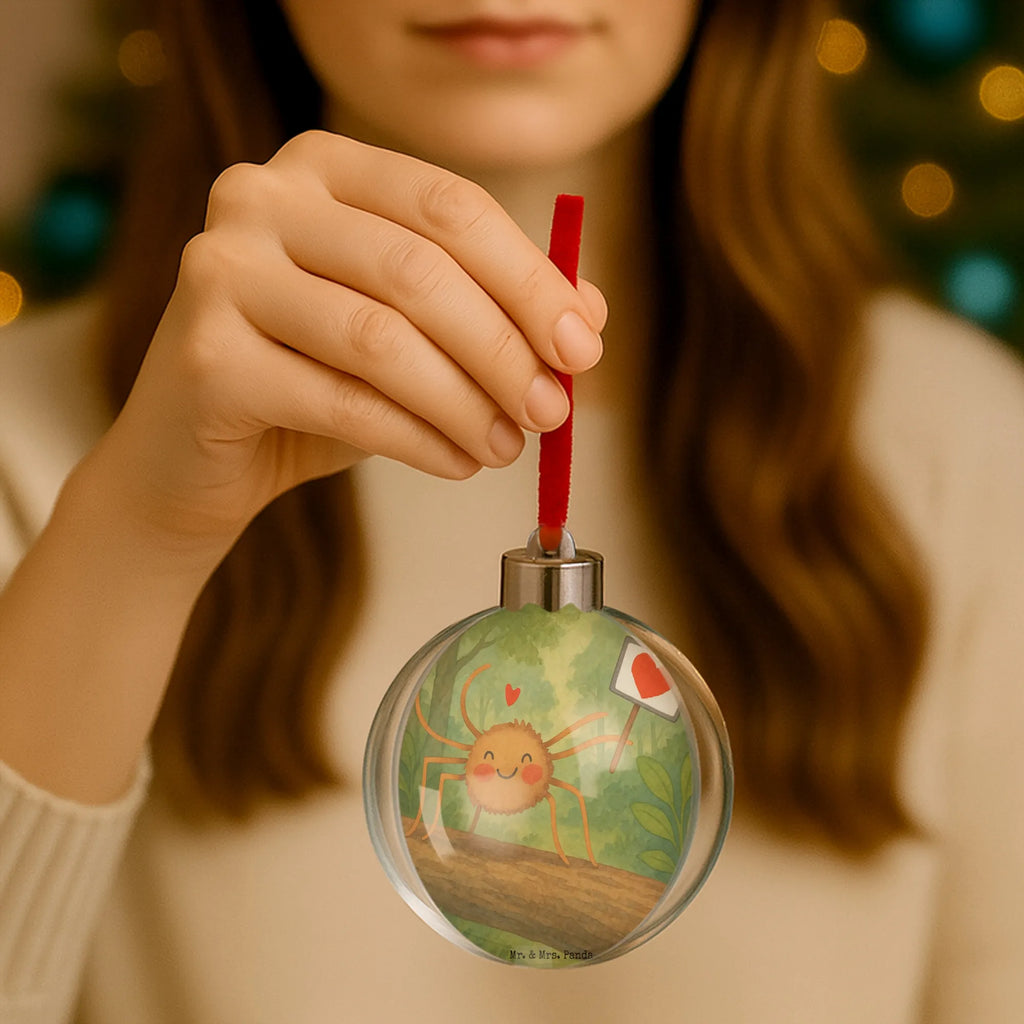  Spider Agatha Motivation Design Spider Agathe, Spider