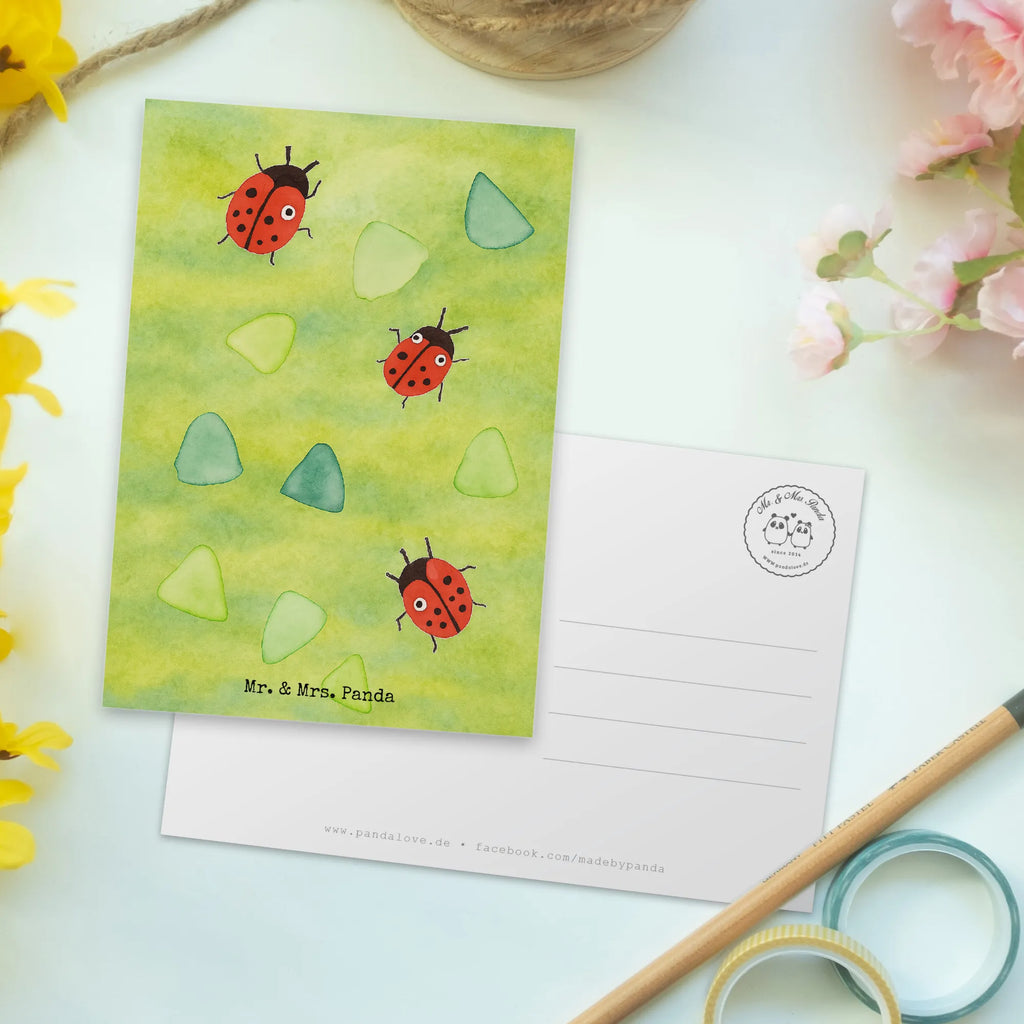 Pocztówka biedronka wzornictwo Design Ansichtskarten, spruchkarte, Ansichtskarte, einzelkarte, Fotokarte, bildkarte, Grußkarte, Postkarte, Postkarten, kunstkarte, Kunstkarten, Motivkarte, Designkarte, Muster, Aquarell, Marienkäfer, Grüne Punkte, Niedlich, Verspielt