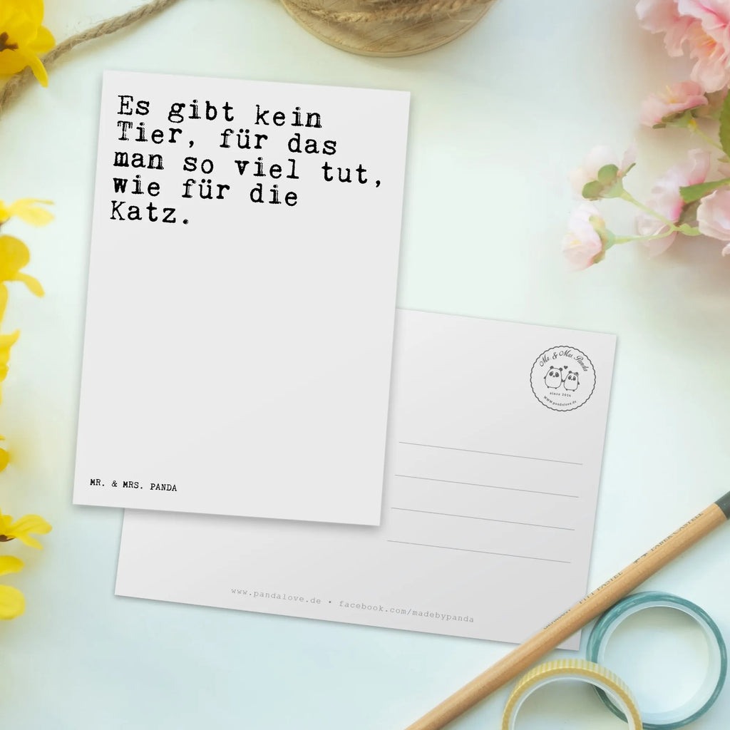Postcard Es gibt kein Tier,... Karte, Postkarte, Ansichtskarte, Ansichtskarten, Einladungskarten Geburtstag, Einladungskarte, Geschenkkarte, Einladung Geburtstag, Dankeskarte, Geburtstagskarte, Einladung, Grußkarte, Spruch, Sprüche, lustige Sprüche, Weisheiten, Zitate, Spruch Geschenke, Spruch Sprüche Weisheiten Zitate Lustig Weisheit Worte
