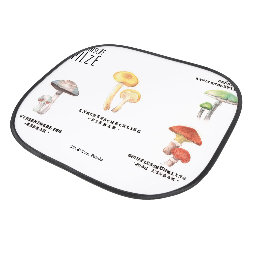 Osłona przeciwsłoneczna do samochodu Rodzime grzyby Dekoracje kwiatowe, dekoracje wiosenne, dekoracje letnie, dekoracja, pozytywna wiadomość, miłośnik natury, na zewnątrz, natura, przygoda