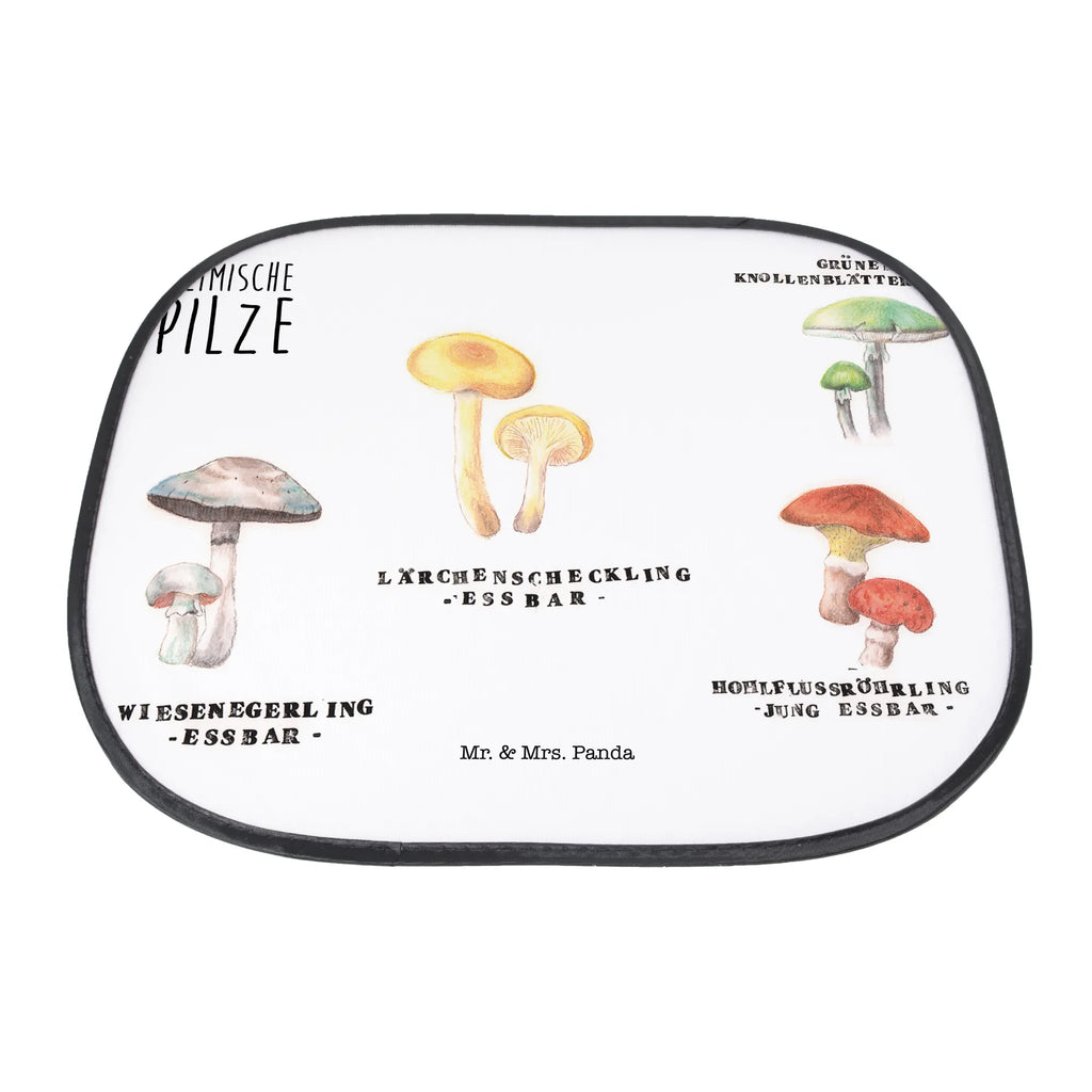 Osłona przeciwsłoneczna do samochodu Rodzime grzyby Dekoracje kwiatowe, dekoracje wiosenne, dekoracje letnie, dekoracja, pozytywna wiadomość, miłośnik natury, na zewnątrz, natura, przygoda