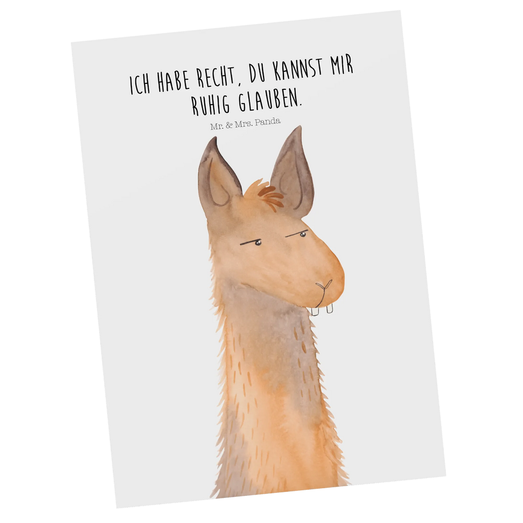 Pocztówka głowa lamy zirytowany Lama, Alpaka