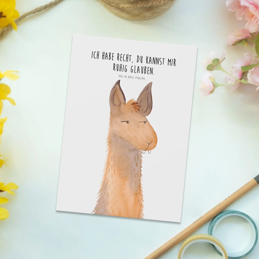 Pocztówka głowa lamy zirytowany Lama, Alpaka