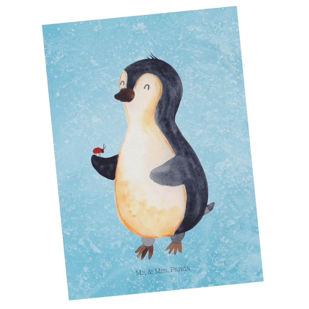 Postcard Penguin ladybug North Pole, Penguins, wonder, joy, joy of life, ladybird, penguins