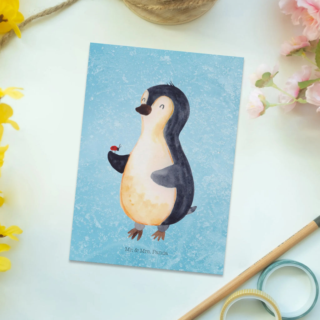 Postcard Penguin ladybug North Pole, Penguins, wonder, joy, joy of life, ladybird, penguins