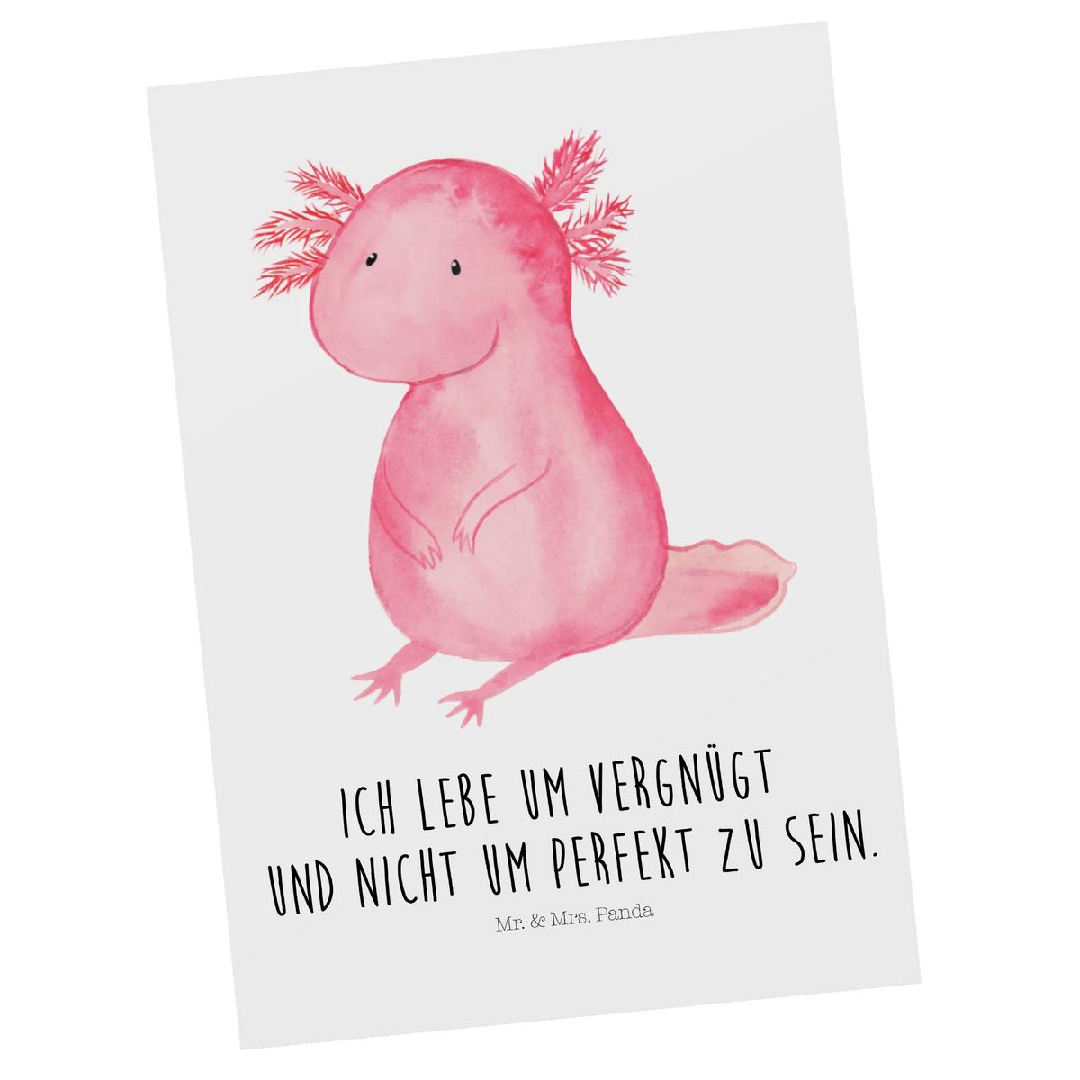 Pocztówka aksolotl null Axolotl, Molch