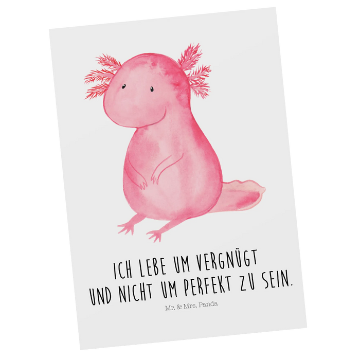 Pocztówka aksolotl null