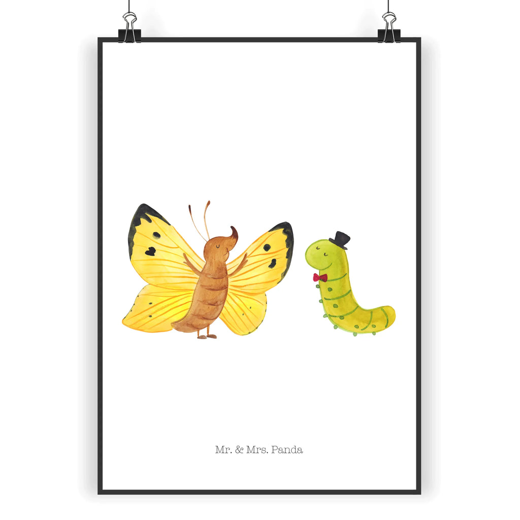 Plakat gąsienica motyl Motywy zwierzęce, dobra energia, zabawne powiedzonka, zwierzęta