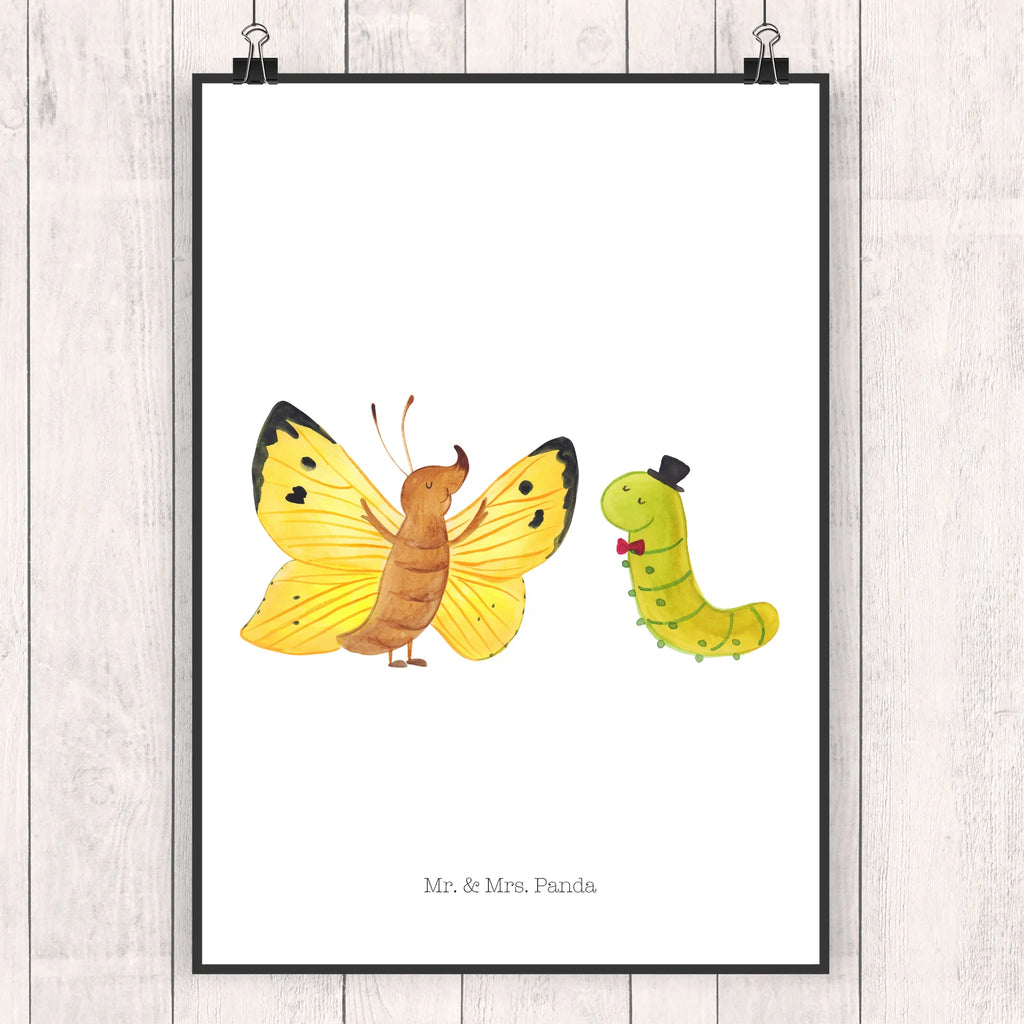 Plakat gąsienica motyl Motywy zwierzęce, dobra energia, zabawne powiedzonka, zwierzęta
