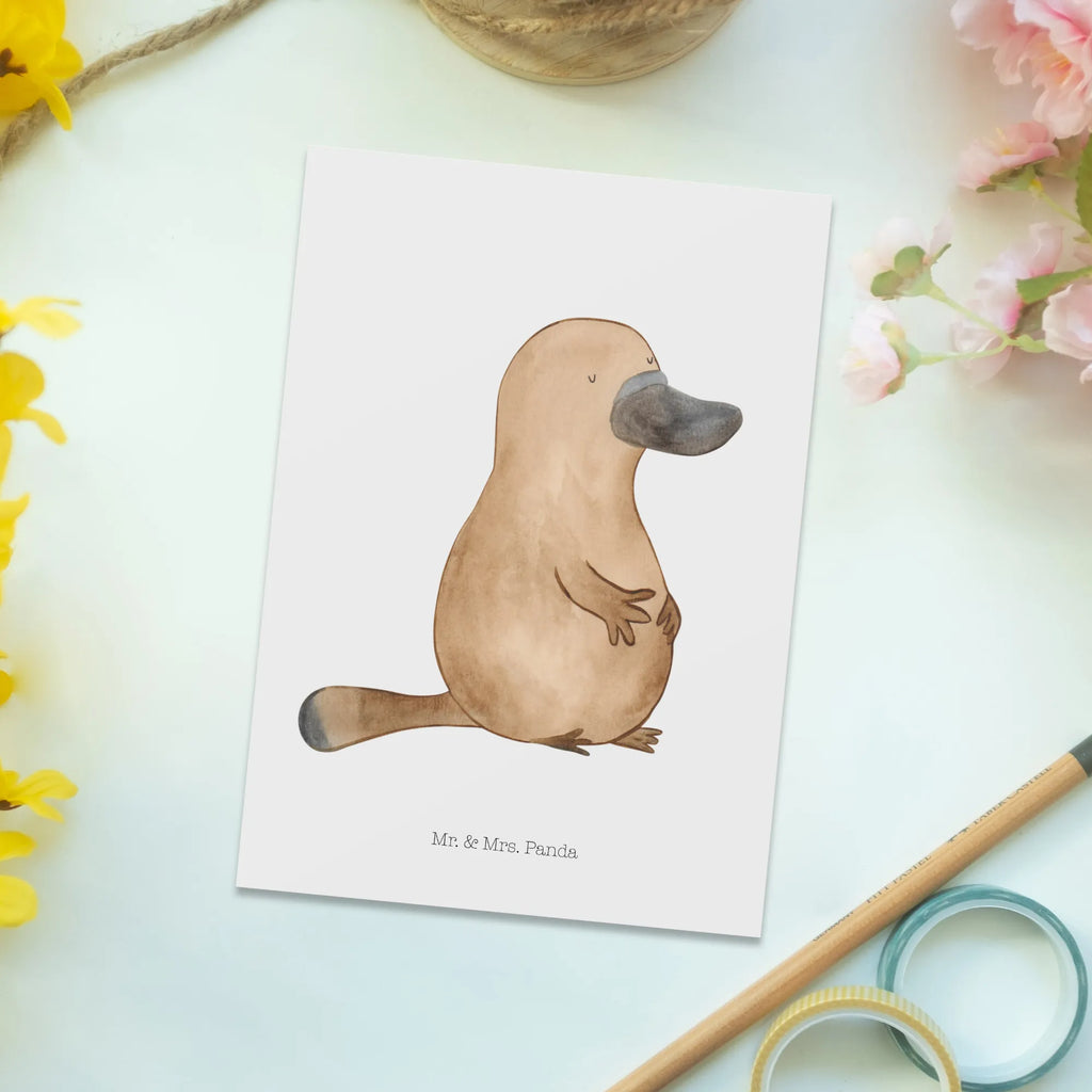 Postcard platypus courage Postkarte, Einladung Geburtstag, Karte, Einladungskarten Geburtstag, Ansichtskarte, Grußkarte, Einladung, Ansichtskarten, Dankeskarte, Einladungskarte, Geschenkkarte, Geburtstagskarte, Meerestiere, Meer, Urlaub, Schnabeltier, Motivation, Weltreise, Neustart, Lebensweisheit, Schnabeltiere, Neuanfang, Arbeit, Büro, mutig, Training, Raodtrip, Mut