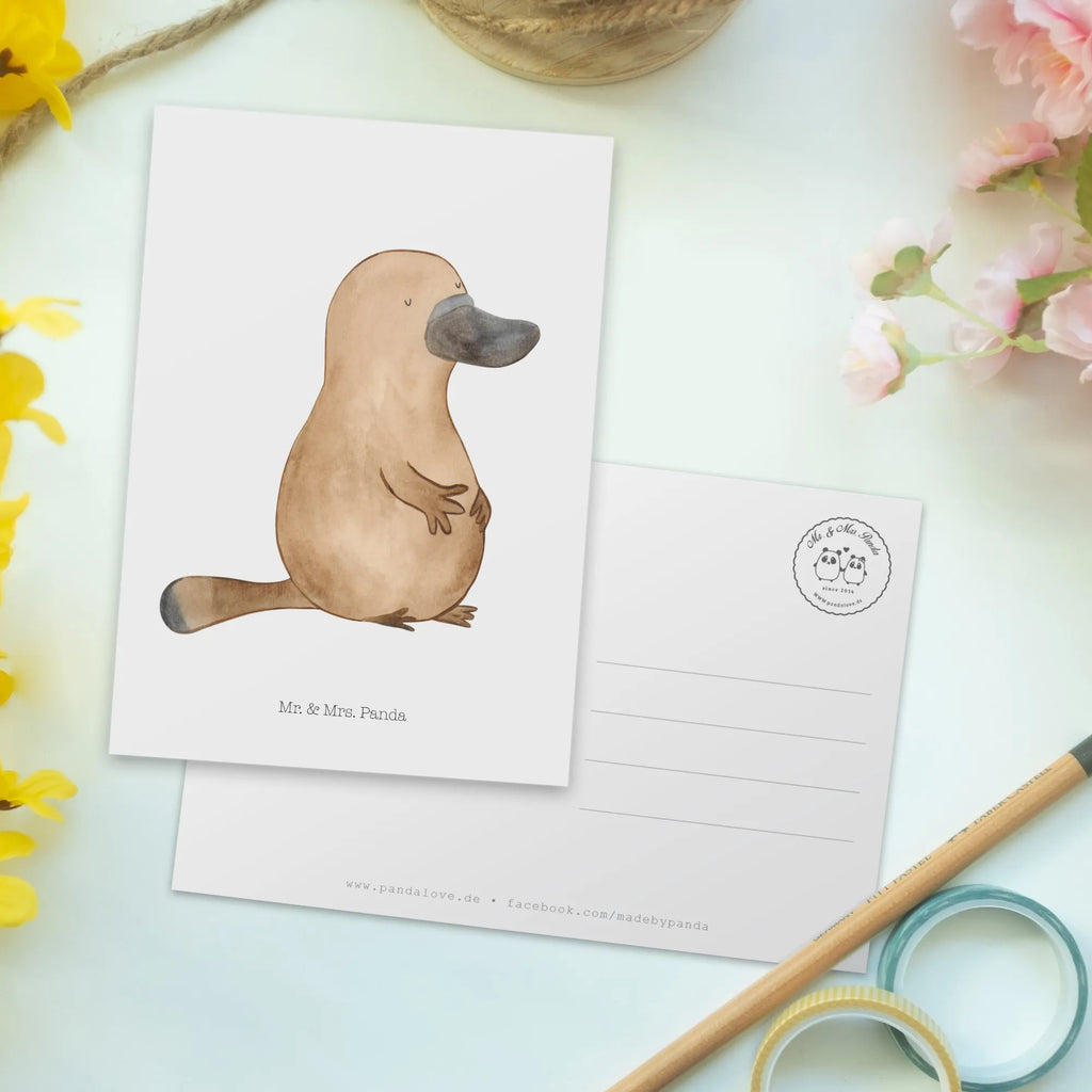 Postcard platypus courage Postkarte, Einladung Geburtstag, Karte, Einladungskarten Geburtstag, Ansichtskarte, Grußkarte, Einladung, Ansichtskarten, Dankeskarte, Einladungskarte, Geschenkkarte, Geburtstagskarte, Meerestiere, Meer, Urlaub, Schnabeltier, Motivation, Weltreise, Neustart, Lebensweisheit, Schnabeltiere, Neuanfang, Arbeit, Büro, mutig, Training, Raodtrip, Mut