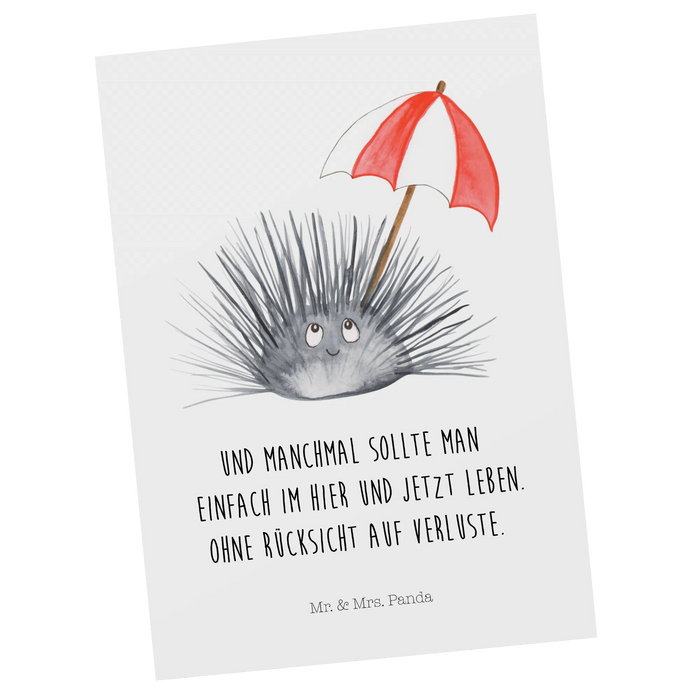 Postcard Sea urchins