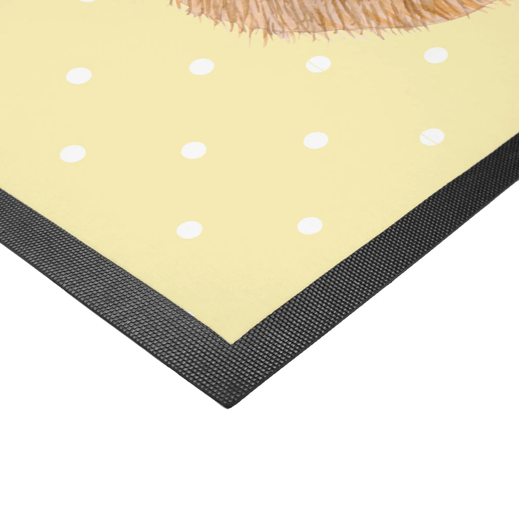Doormat Hedgehog Pray hausmatte, Eingangsteppich, matte haustür, Schmutzfangmatte, außenmatte, Fussmatte, Eingangsmatte, sauberlaufmatten, Schuhabstreifer, Schmutzfangteppich, Fußabstreifer, Sauberlaufmatte, türmatten, Schmutzfänger, Türmatte, fußmatte, Schmutzmatte, Haustürmatte, Türvorleger, schmutzfangmatten, Abtreter, Fußmatten, flurmatte, abstreifer, Abtretmatte, Fußabtreter, Lustige Sprüche, Tiere, Tiermotive, Gute Laune, Dankbar sein, Genießen, Dankbarkeit, Dankbar, Igel mit Hut, Sonnenhut, Beten, Gott, Leben, Igel, Amen