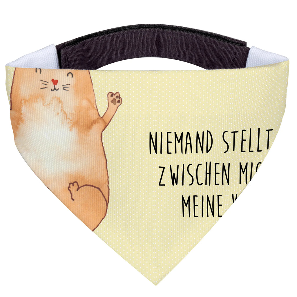 Chusta na szyję dla psa L kotka Przytulić Hunde, Kleine Hunde, Tuch, Halstuch, Hundehalstuch, Katzenliebhaberprodukte, Katzenmotive, Katzenmotiv, Katzenfan, Katzenartikel, Katzendeko, Katzenliebhaber, Katze, Katzenaccessoires, Katzensouvenirs, Katzenfreund, Katzenprodukte, Liebe, Kater, Cats, Mietze, Katzen, Katzenliebe, Katzenhalter, Familie, Katzenbesitzerin, Freunde, Haustier, Cat, Freundin, Beste Freunde