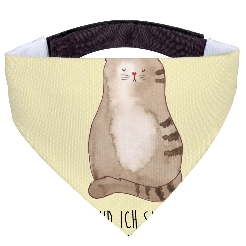 Hundehalstuch Katze Sitzen Hunde, Hundehalstuch, Tuch, Kleine Hunde, Halstuch, Katzenartikel, Katzenfreund, Katzenliebhaberprodukte, Katzenprodukte, Katzenmotive, Katzenliebhaber, Katzenmotiv, Katzensouvenirs, Katzenaccessoires, Katzenfan, Katzendeko, Katze, Katzenliebe, Mittelpunkt, Mietze, Kater, Cats, Lebensinhalt, Katzen, Katzenbesitzerin, Cat, Haustier, Familie, Katzenhalter, Liebe