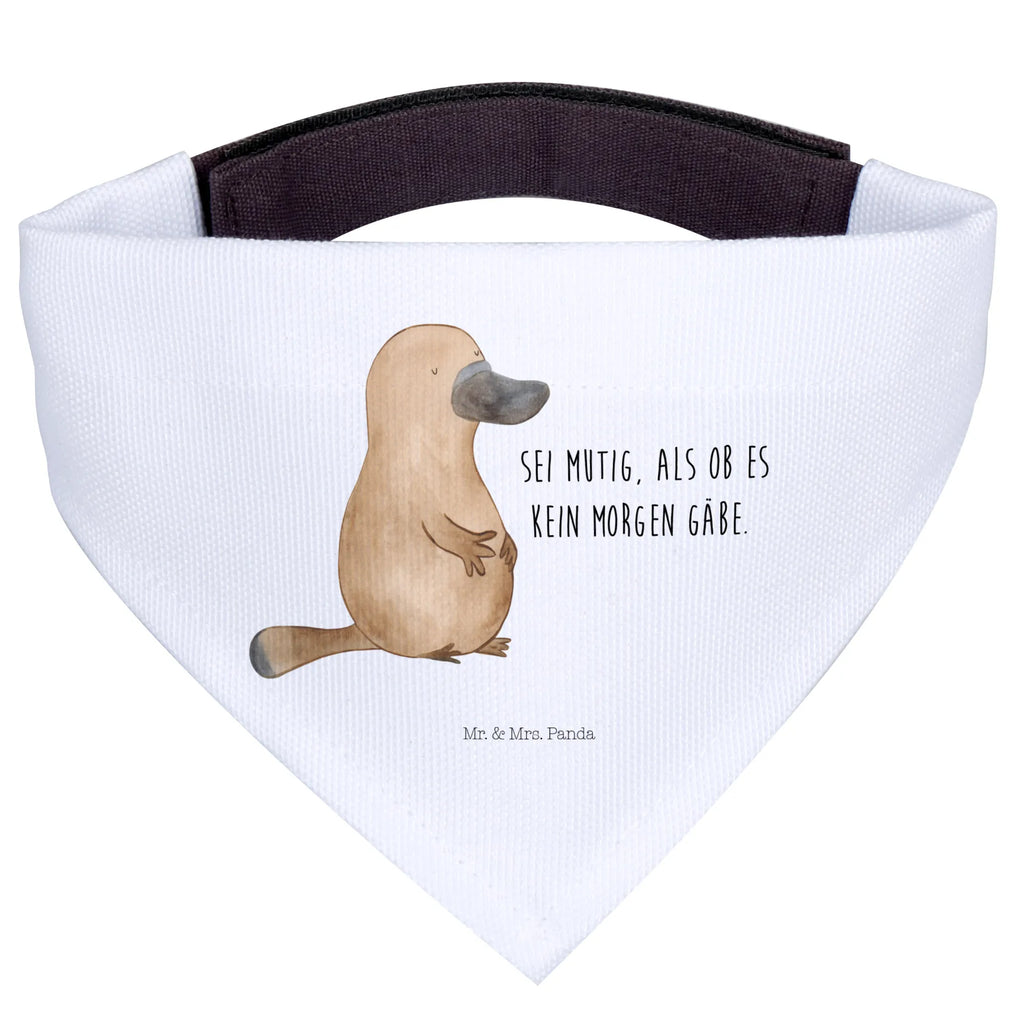 Chusta na szyję dla psa L dziobak Odwaga Tuch, Mittelgroße Hunde, Hundehalstuch, Halstuch, Mittel, Hunde, Meerestiere, Urlaub, Meer, Motivation, Schnabeltiere, Büro, Raodtrip, mutig, Training, Arbeit, Lebensweisheit, Mut, Weltreise, Neuanfang, Schnabeltier, Neustart