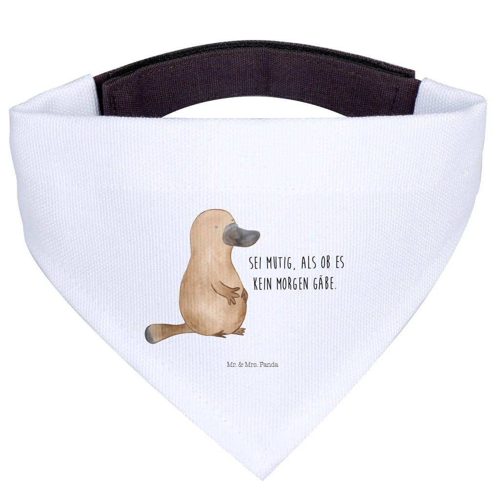 Chusta na szyję dla psa L dziobak Odwaga Tuch, Mittelgroße Hunde, Hundehalstuch, Halstuch, Mittel, Hunde, Meerestiere, Urlaub, Meer, Motivation, Schnabeltiere, Büro, Raodtrip, mutig, Training, Arbeit, Lebensweisheit, Mut, Weltreise, Neuanfang, Schnabeltier, Neustart