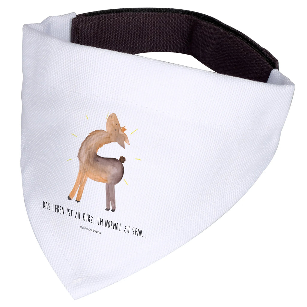 Chusta na szyję dla psa L lama Dumny Hundehalstuch, mittelgroße Hunde, Hunde, Tuch, Halstuch, mittel, Lama, Alpaka, Family, Außenseiter, Lamas, stolz, Neustart, Hippie, Familie, beste Freundin, Freundin, Freundinnen, Anders, Kumpel