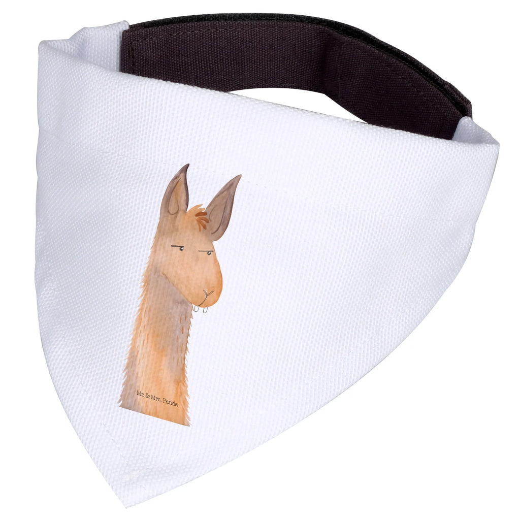 Chusta na szyję dla psa L głowa lamy zirytowany Tuch, Mittel, Halstuch, Hundehalstuch, Mittelgroße Hunde, Hunde, Alpaka, Lama, Chef, Genervt sein, Chefin, Freundin, Azubi, Partnerin, Lamas, Recht haben, Büro, Büroalltag, Beste Freundin