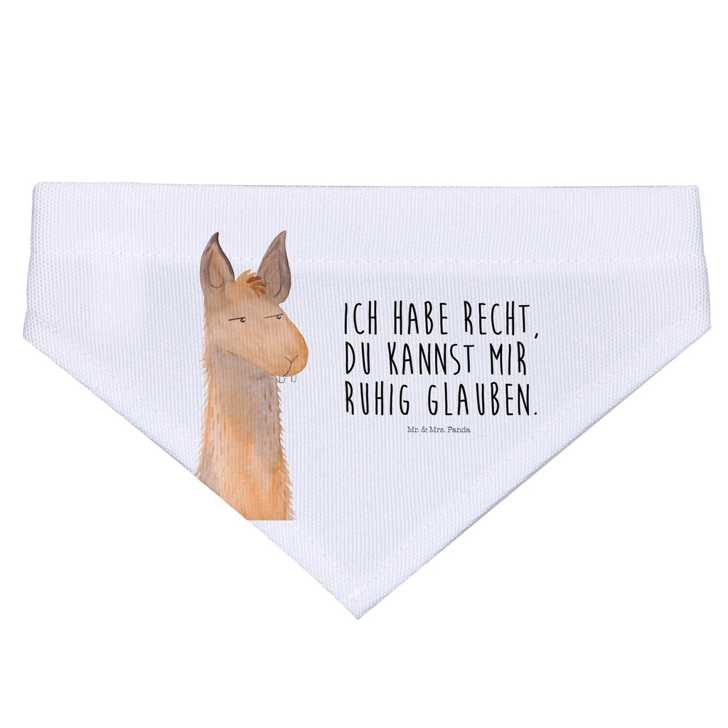 Chusta na szyję dla psa L głowa lamy zirytowany Tuch, Mittel, Halstuch, Hundehalstuch, Mittelgroße Hunde, Hunde, Alpaka, Lama, Chef, Genervt sein, Chefin, Freundin, Azubi, Partnerin, Lamas, Recht haben, Büro, Büroalltag, Beste Freundin
