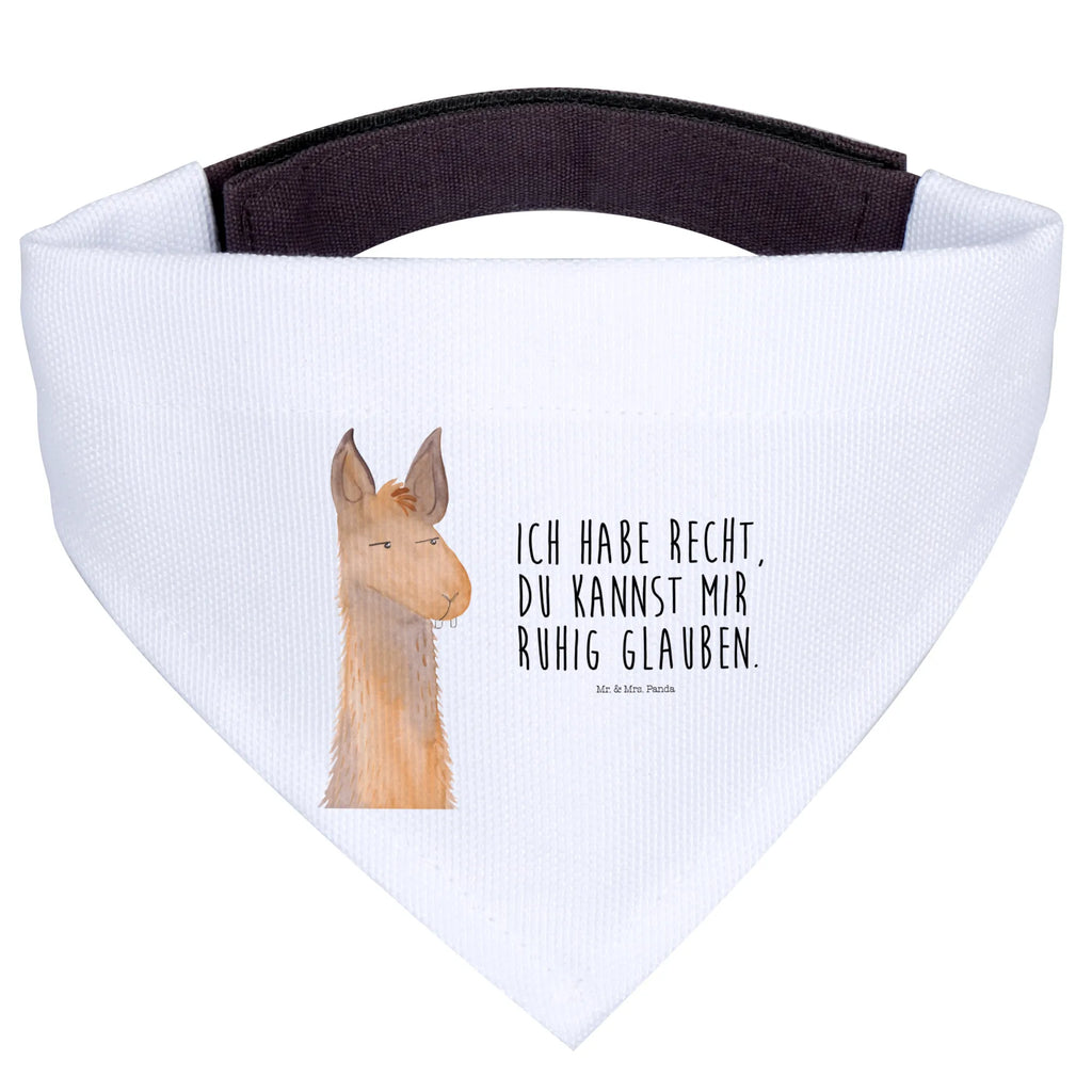 Chusta na szyję dla psa L głowa lamy zirytowany Tuch, Mittel, Halstuch, Hundehalstuch, Mittelgroße Hunde, Hunde, Alpaka, Lama, Chef, Genervt sein, Chefin, Freundin, Azubi, Partnerin, Lamas, Recht haben, Büro, Büroalltag, Beste Freundin