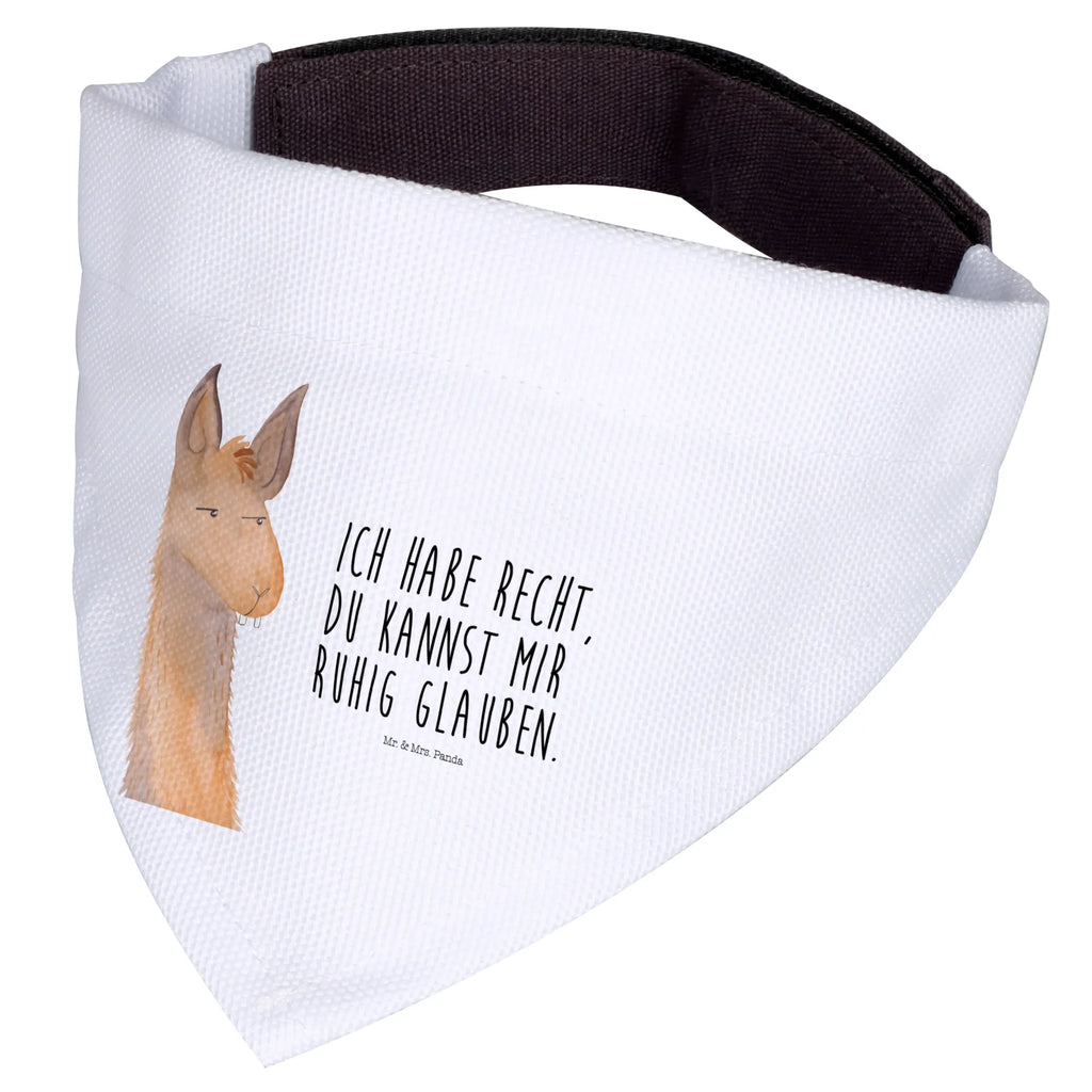 Chusta na szyję dla psa L głowa lamy zirytowany Tuch, Mittel, Halstuch, Hundehalstuch, Mittelgroße Hunde, Hunde, Alpaka, Lama, Chef, Genervt sein, Chefin, Freundin, Azubi, Partnerin, Lamas, Recht haben, Büro, Büroalltag, Beste Freundin